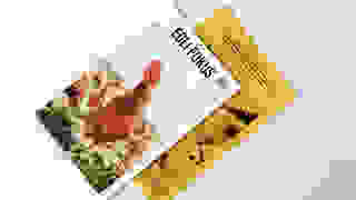 Egli Fokus
